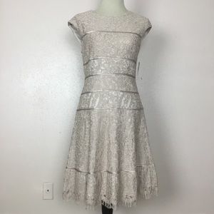 Alex Marie Evenings Champagne Lace Dress Size 6 Fringe lace hem